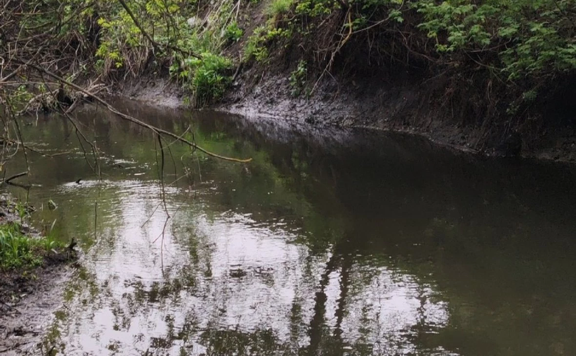 РБК Черноземье