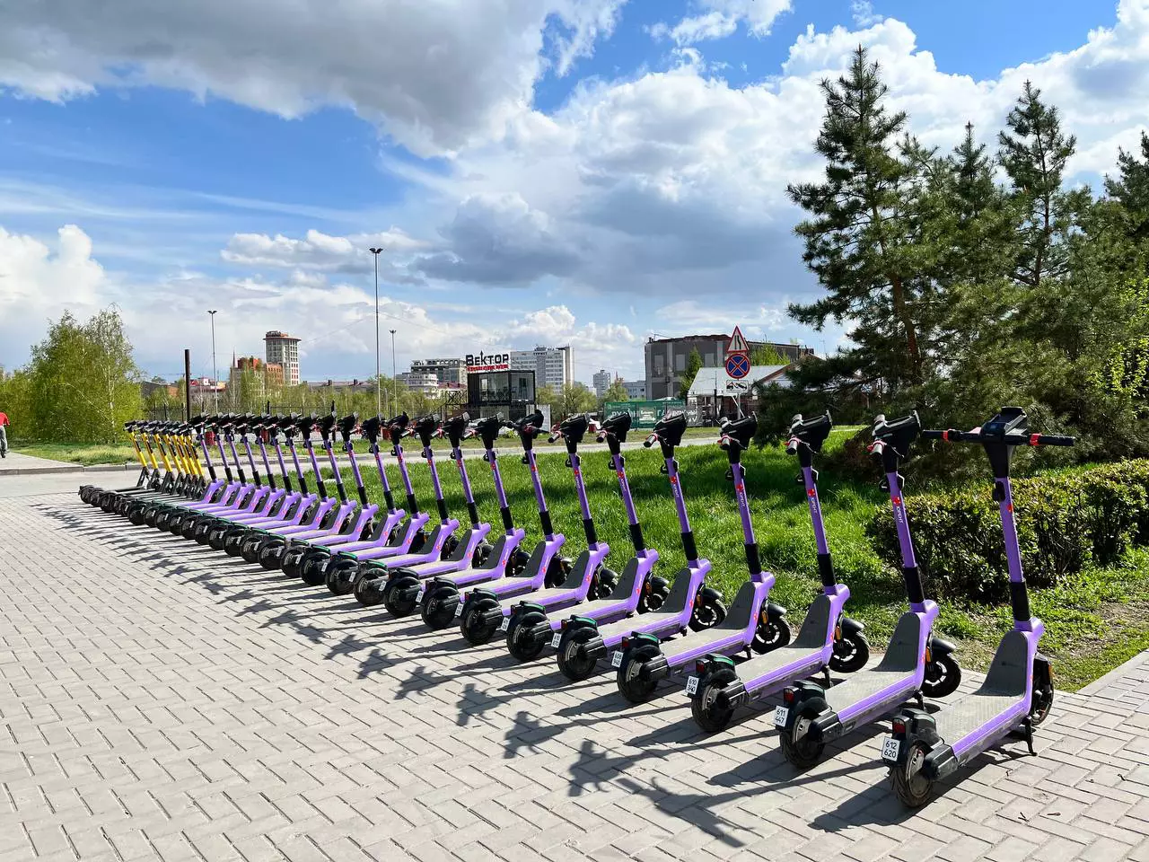 Ольга Цупикова / Om1