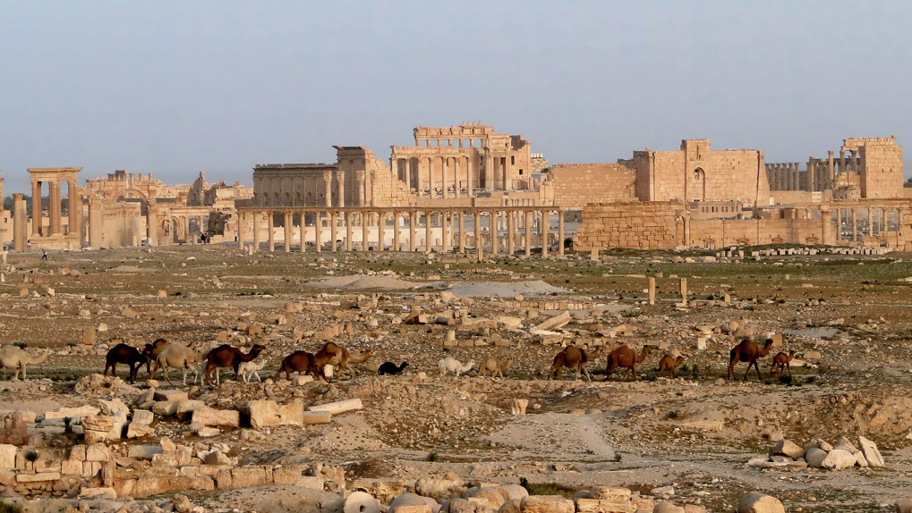 Фото: Site of Palmyra © Silvan Rehfeld