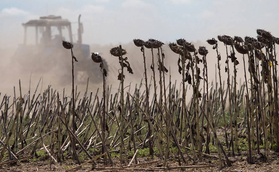 Сергей Мальгавко / ТАСС