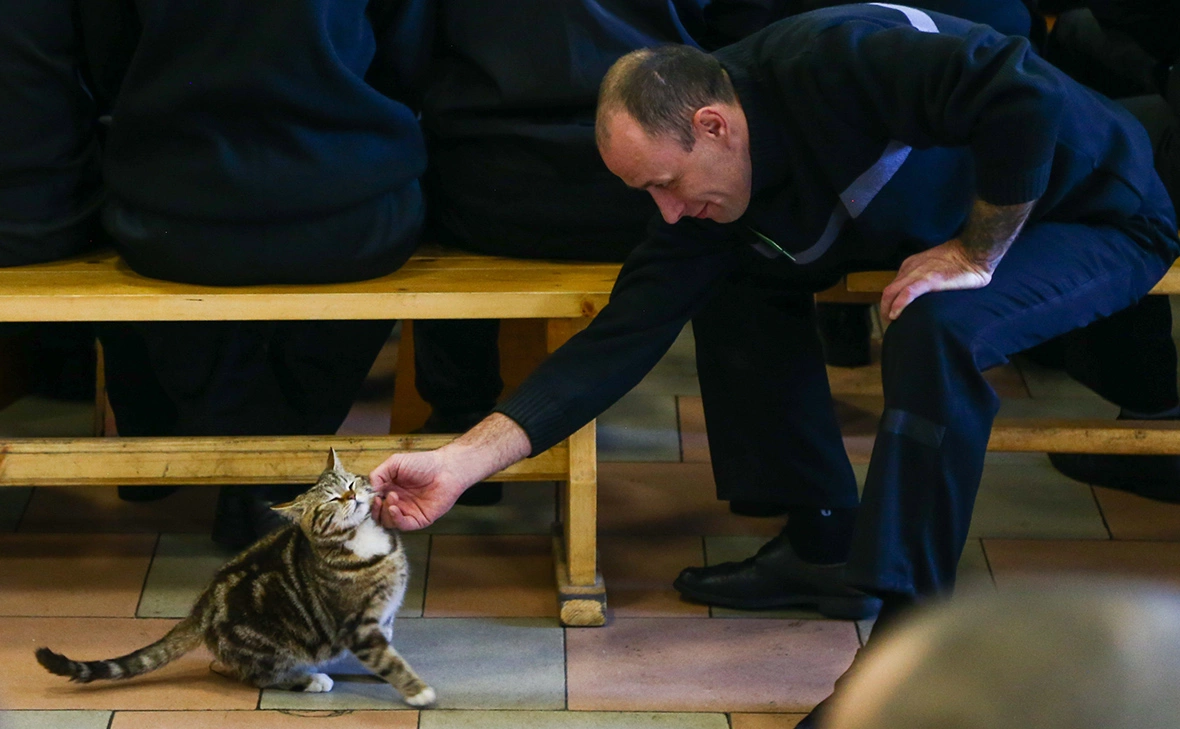 Дмитрий Ефремов / ТАСС
