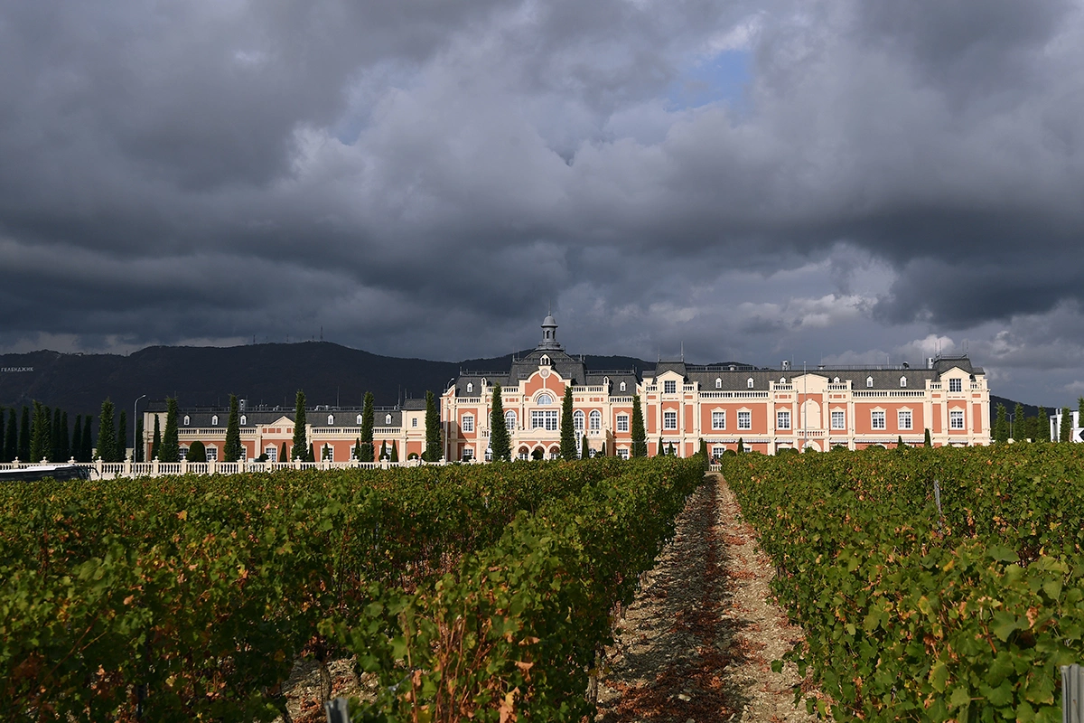 Винодельня «Шато де Талю»