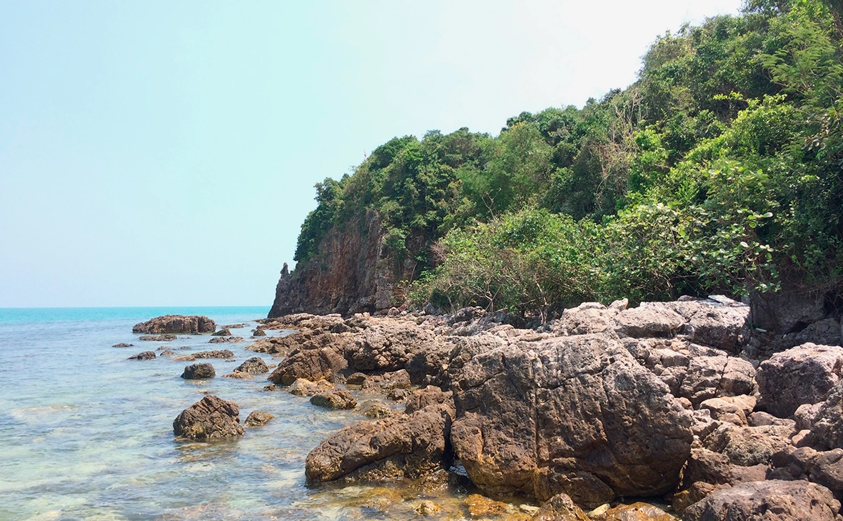 madeza5 / Shutterstock