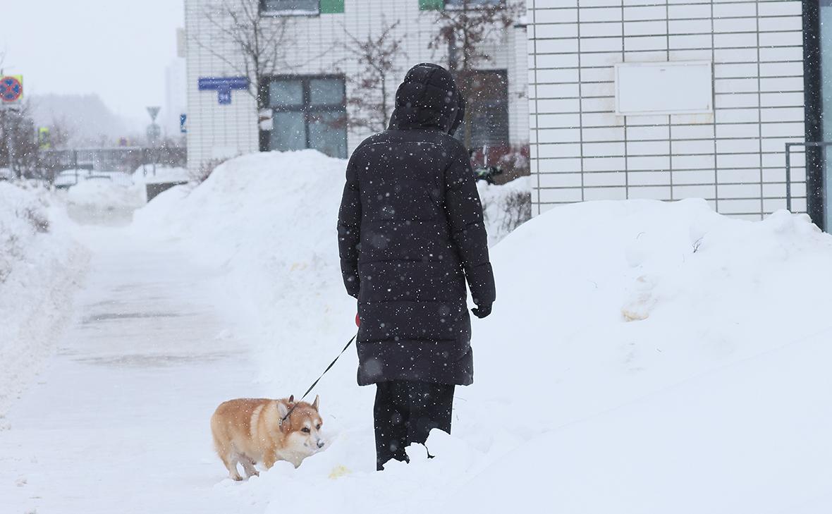 Фото: Андрей Любимов / РБК