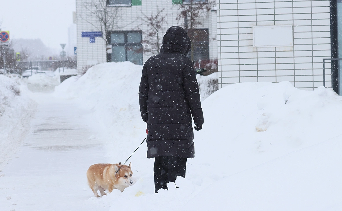 Андрей Любимов / РБК
