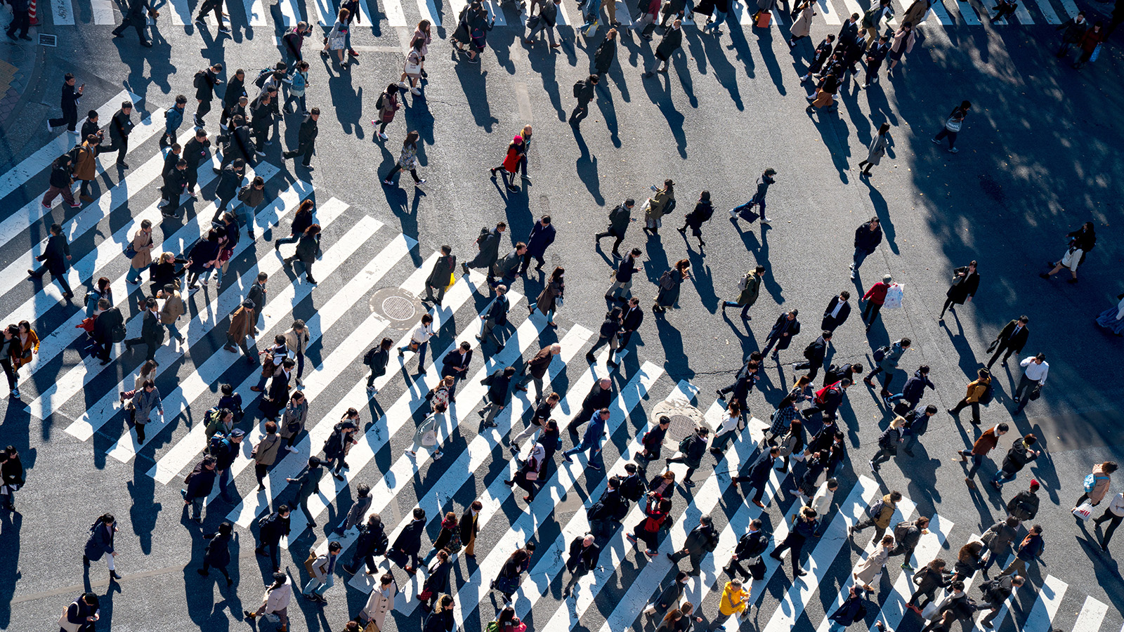 Ученые заявили о перенаселении Земли. Чем это опасно