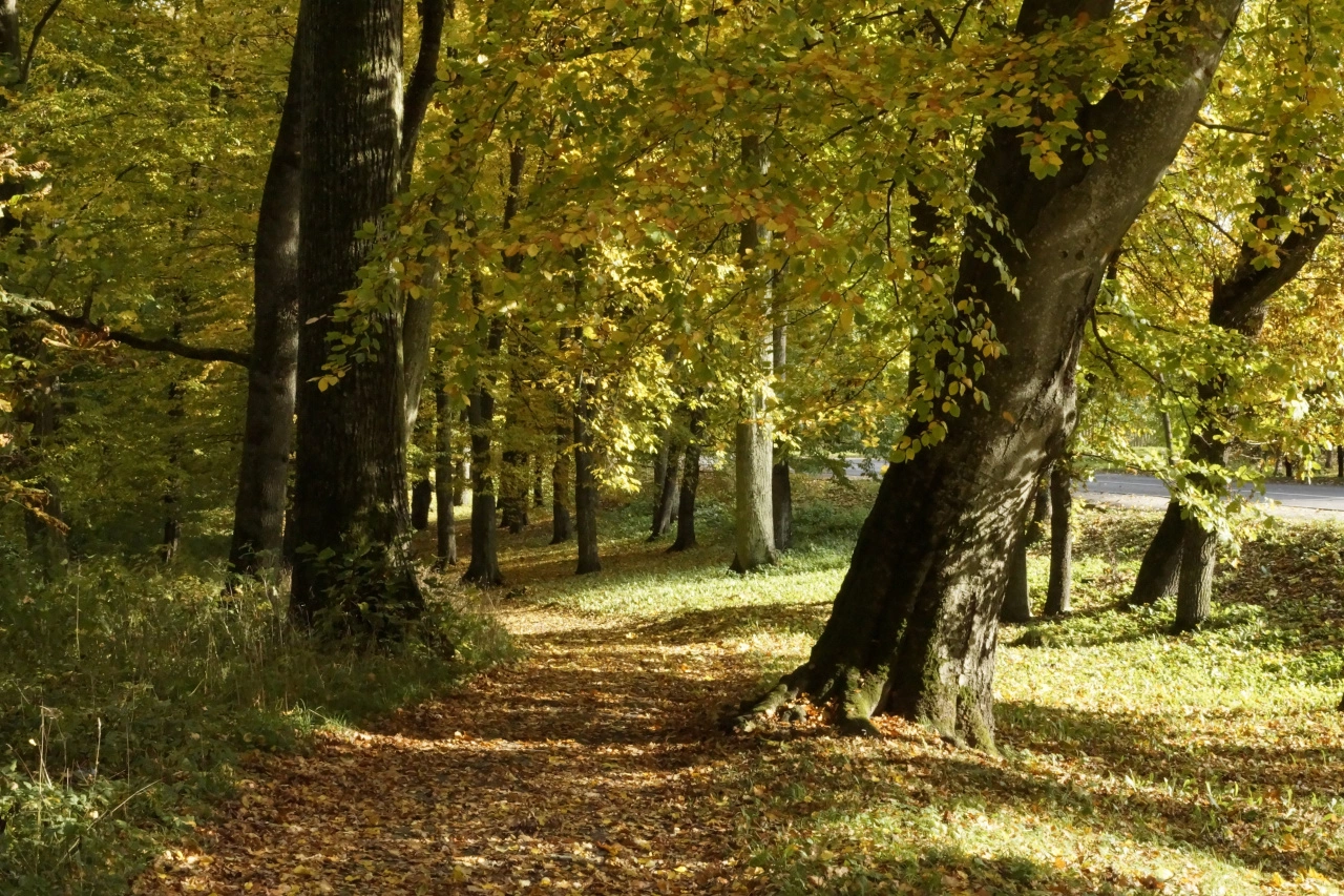 пресс-служба правительства Калининградской области