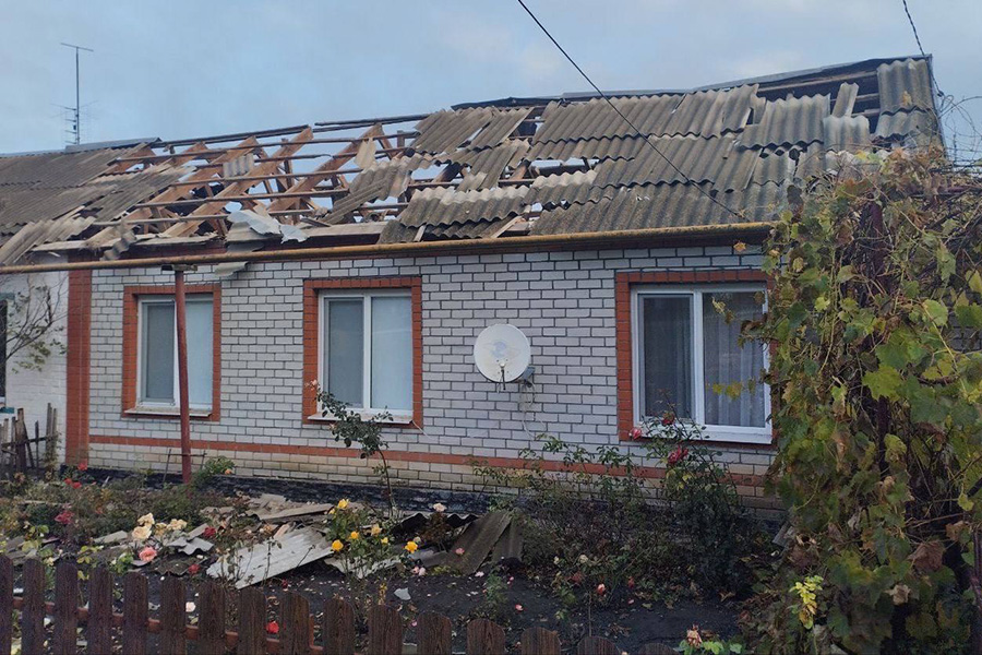 Фото: vvgladkov / Telegram