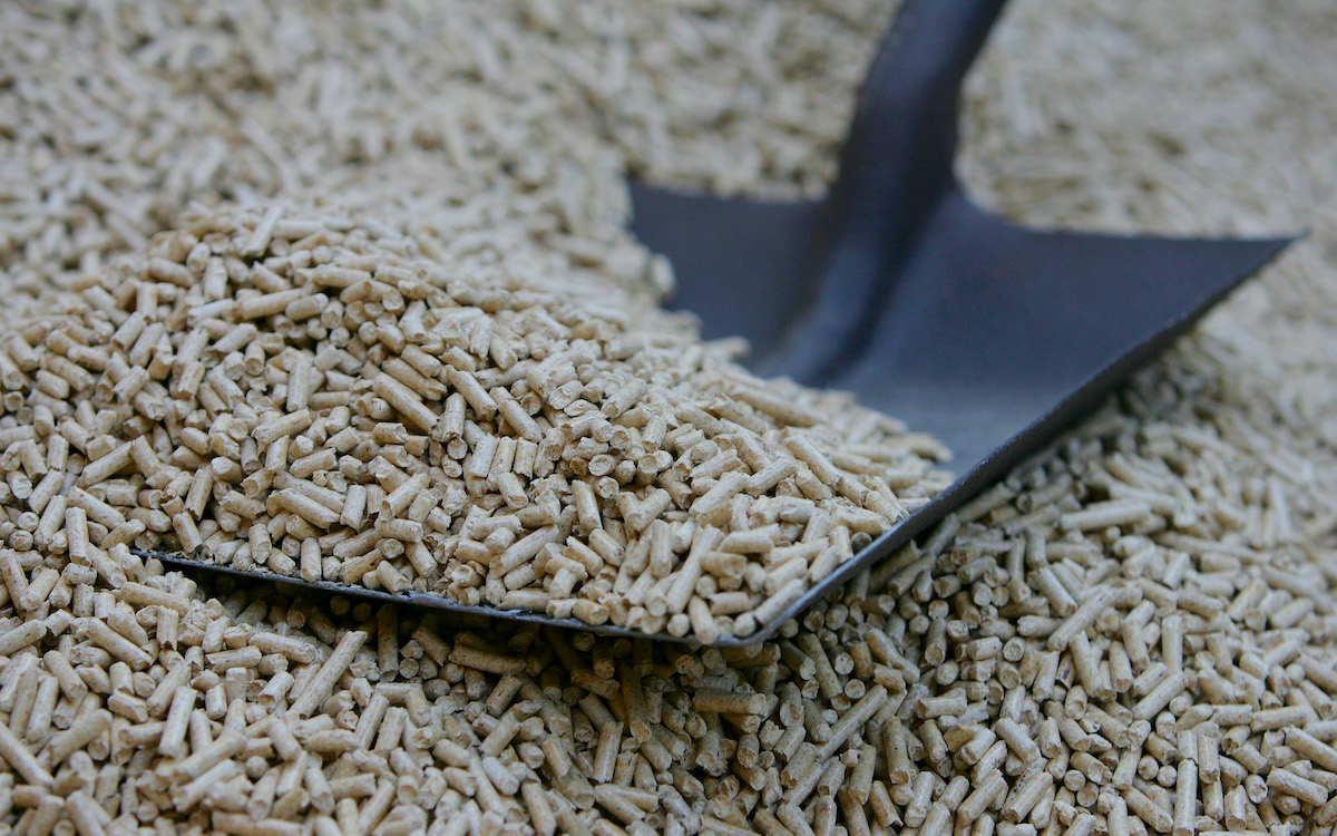 Как устроено производство биотоплива, и какие проблемы оно решает