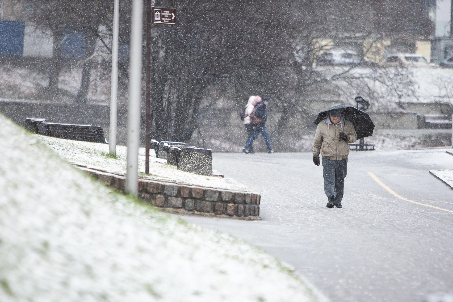 Александр Подгорчук