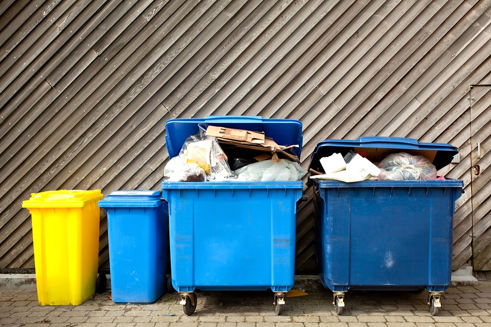 На одного вологжанина в год приходится более 260 кг бытового мусора