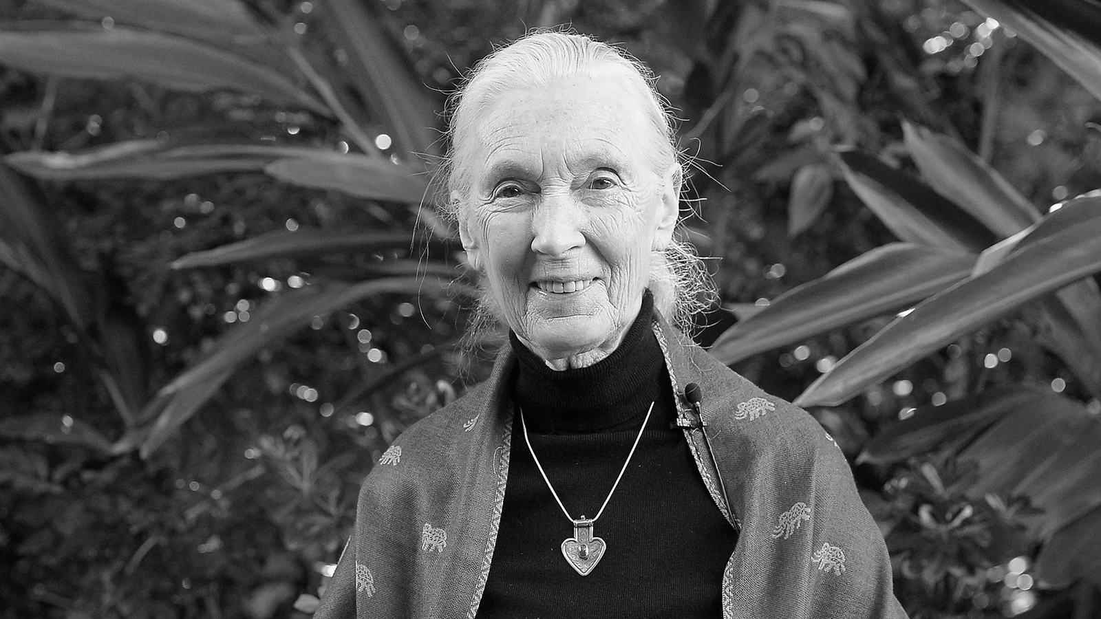 Джейн Гудолл