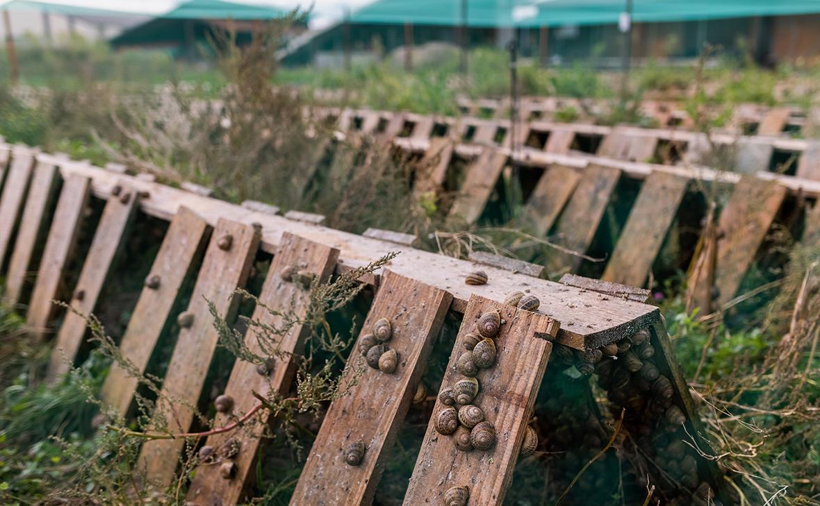 Фото: Philipp von Ditfurth / dpa / Global Look Press