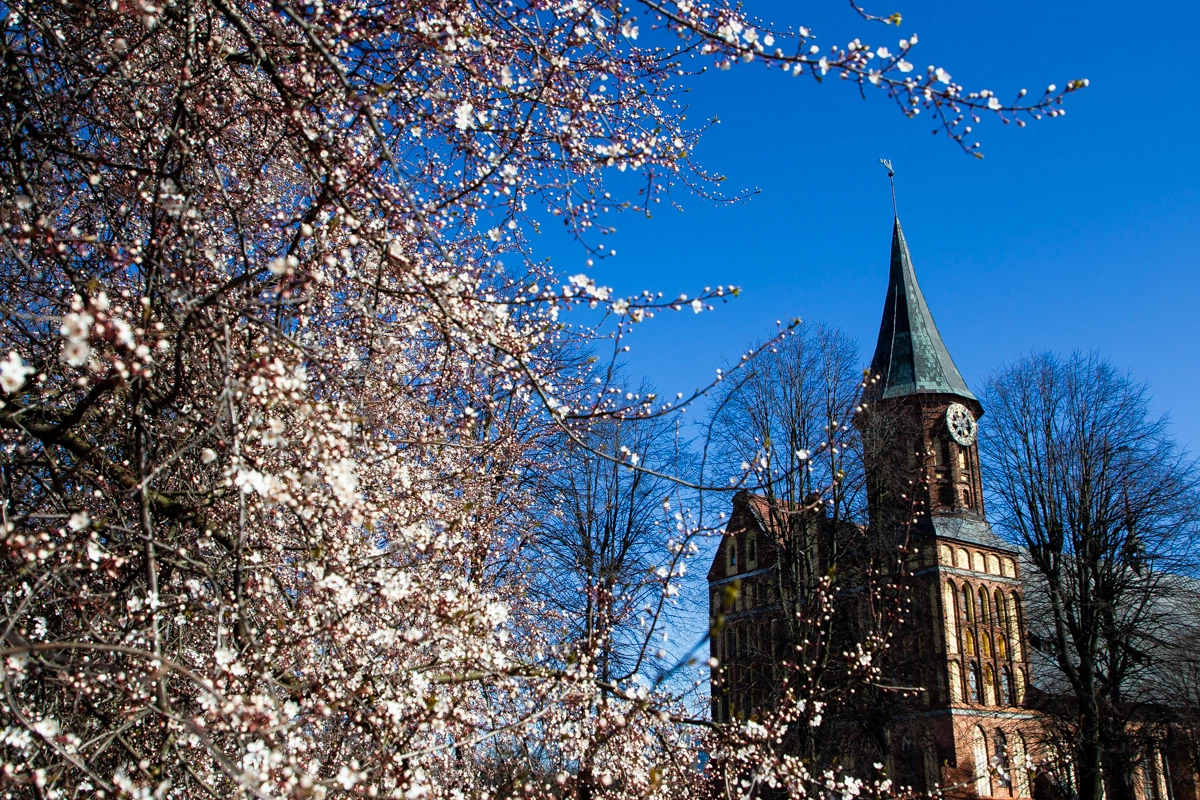 Александр Подгорчук