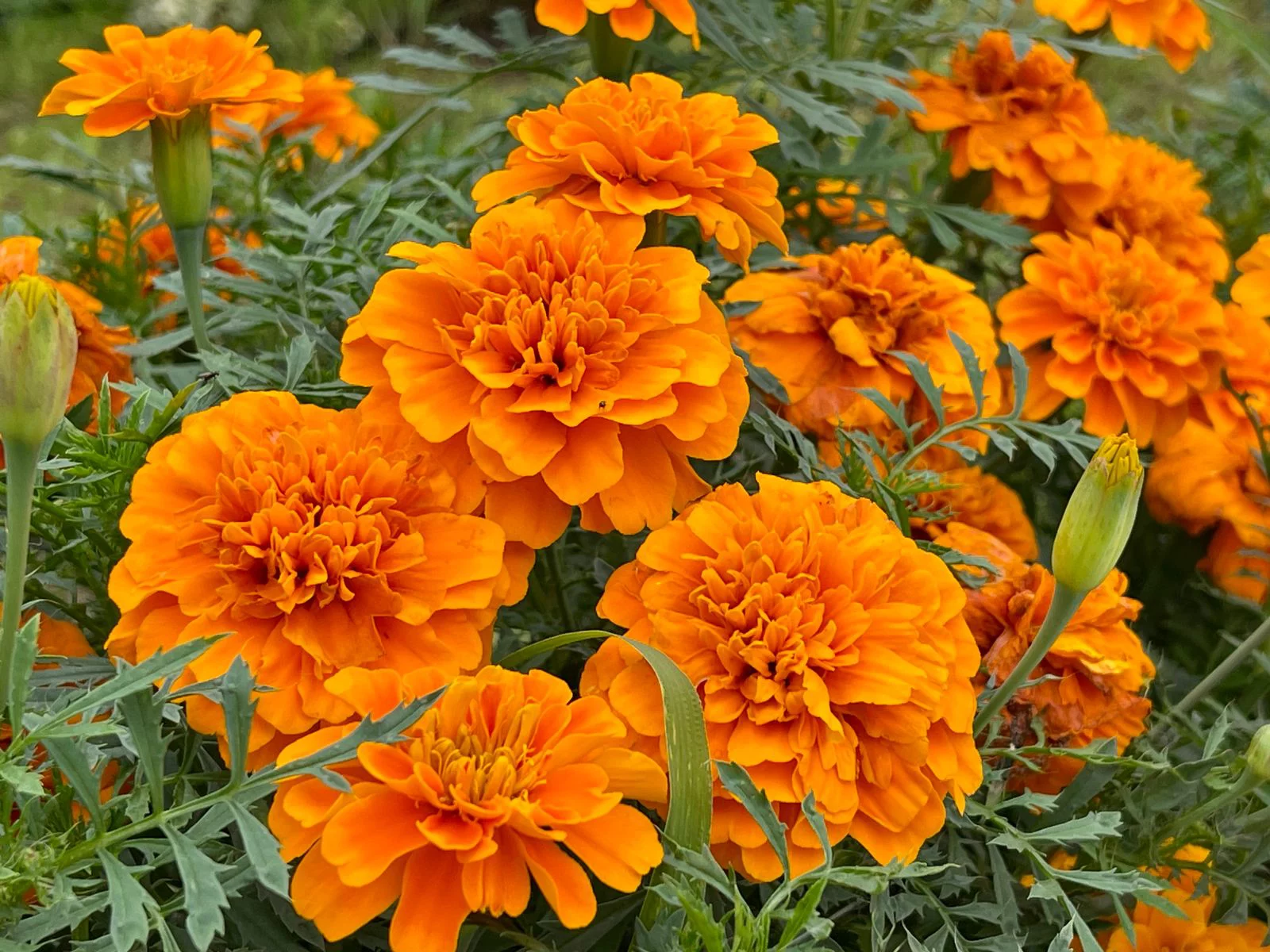 РБК Приморье