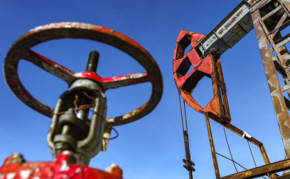 Фото:Егор Алеев / ТАСС