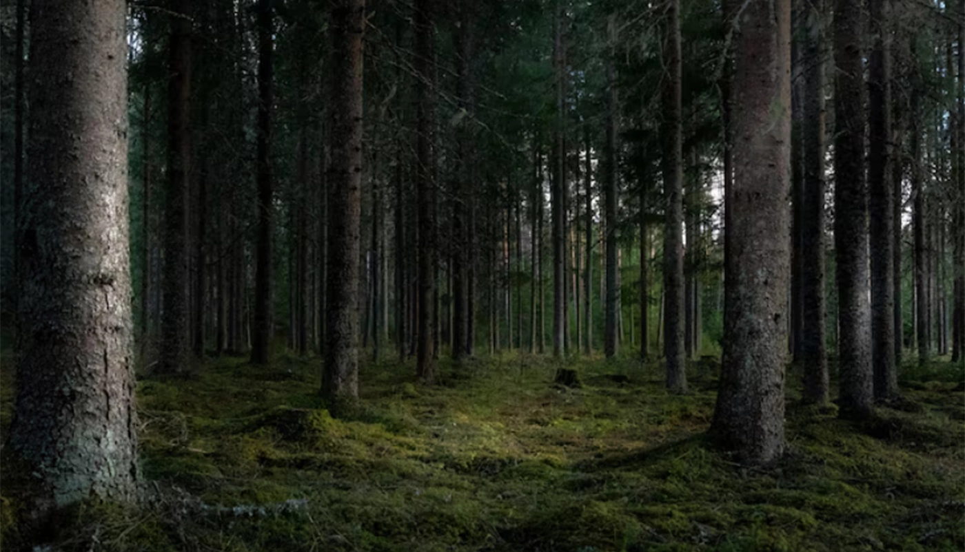 ru.freepik.com, wirestock