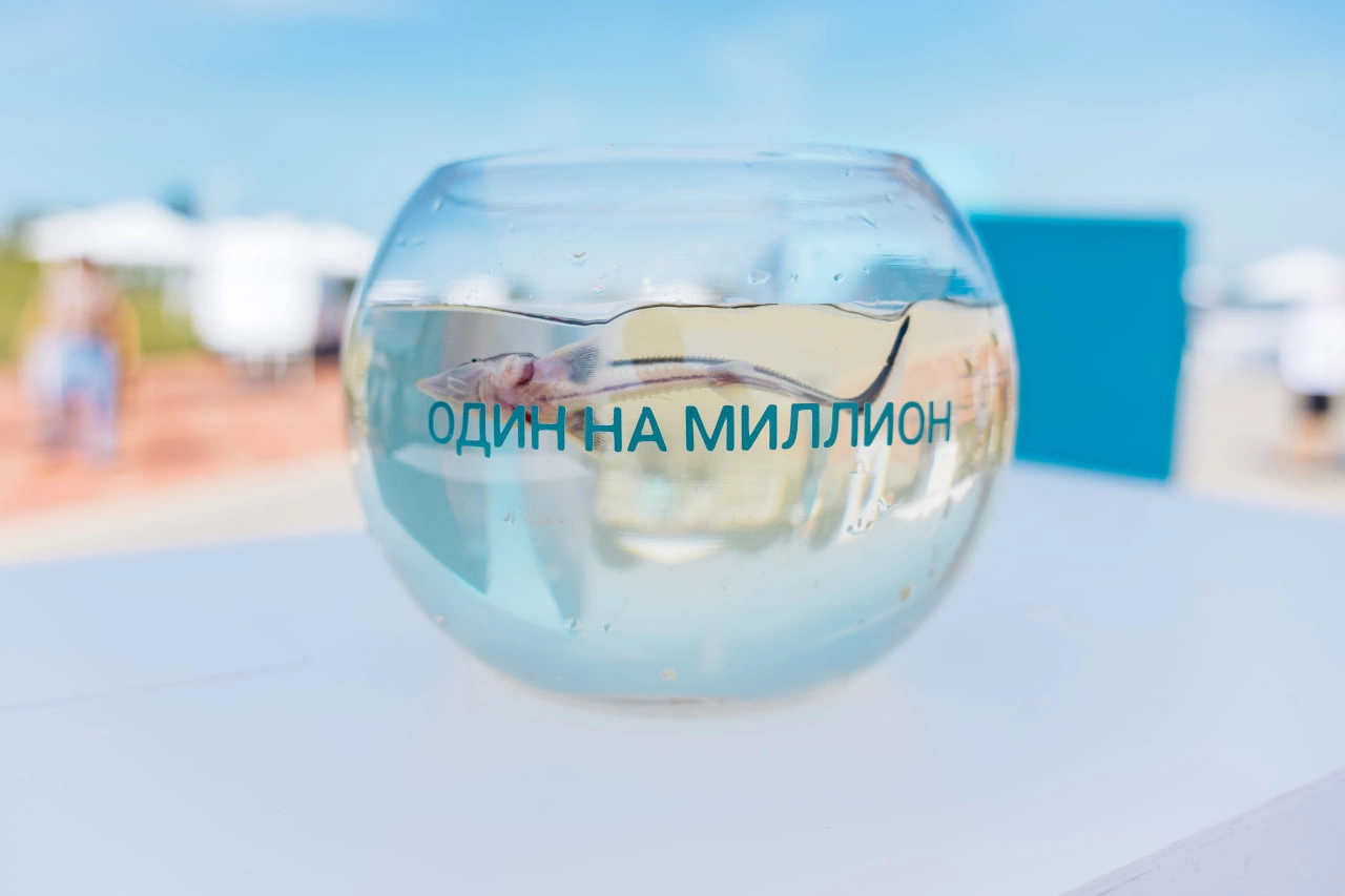 пресс-служба «Нижнекамскнефтехима» 