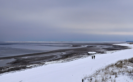 Побережье Белого моря в&nbsp;Архангельской области, 2008 год