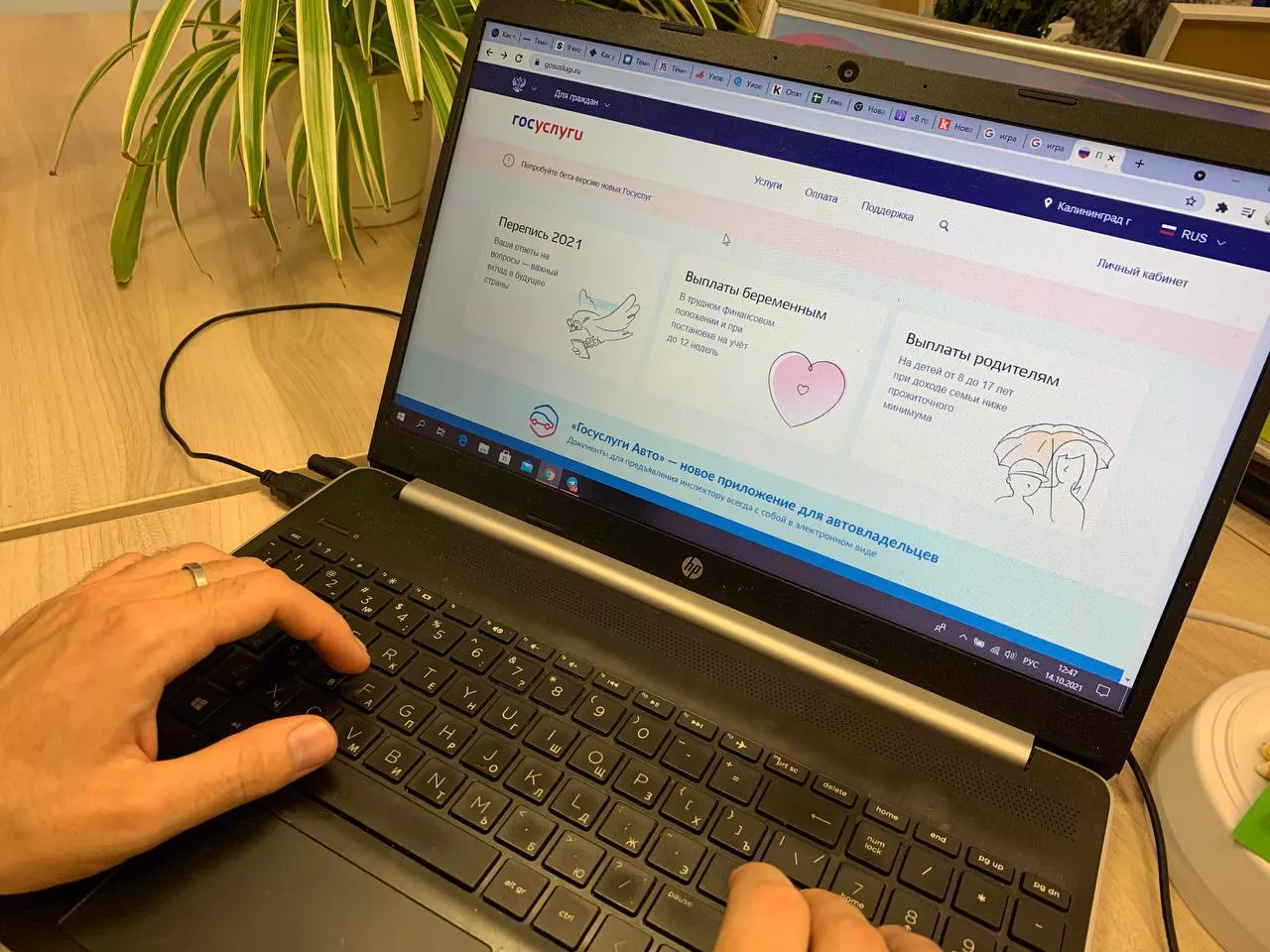 Архив РБК Калининград