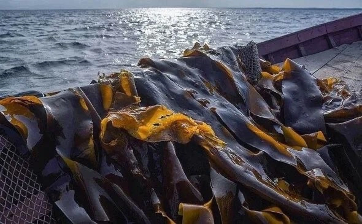 министерство сельского и рыбного хозяйства Республики Карелия