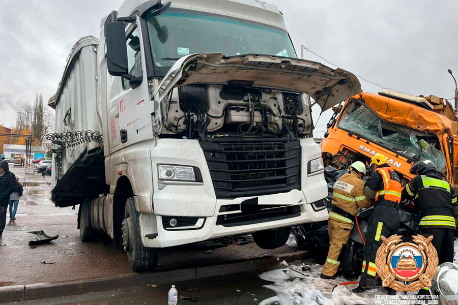 Фото: V_Sevastyanov / Telegram