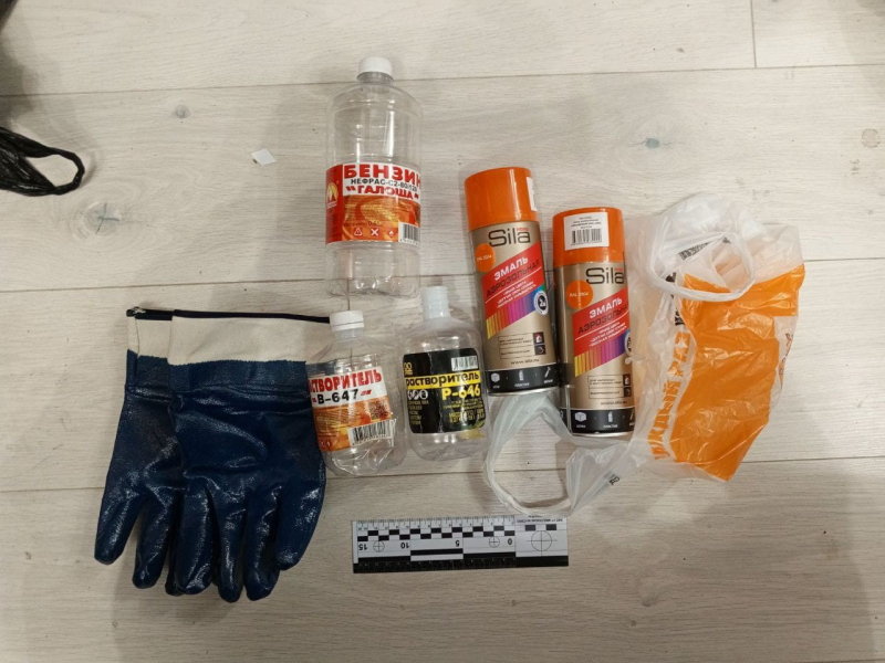 Фото: УТ МВД по Северо-Западному федеральному округу