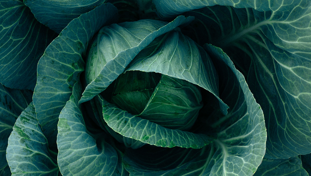 Vogue назвал 2026-й годом капусты