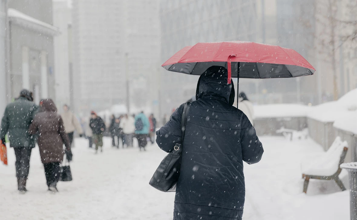 Михаил Гребенщиков / РБК