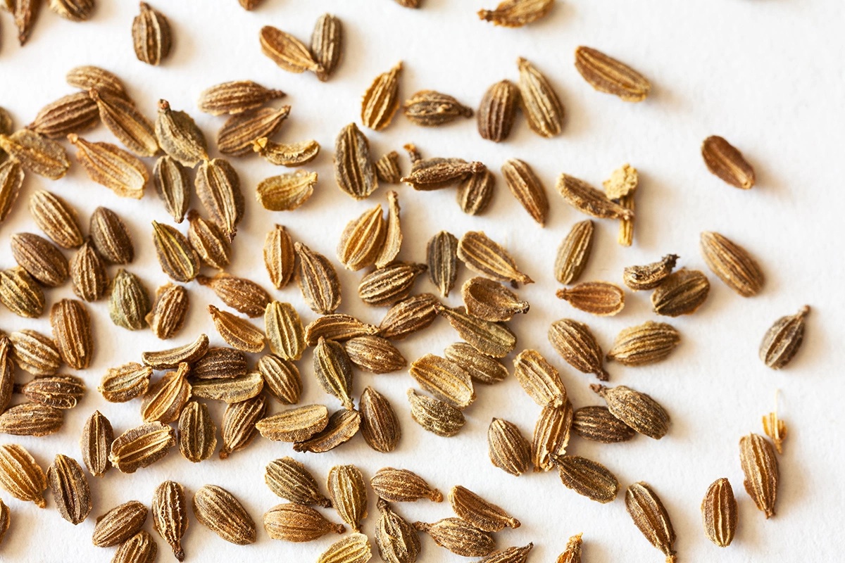 Семена не контактируют с почвой напрямую; для прорастания им придется преодолеть слой бумаги и клейстера