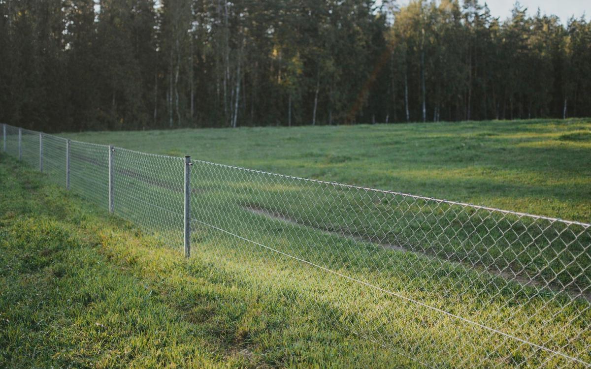 Фото: stonia Photography / Shutterstock / FOTODOM