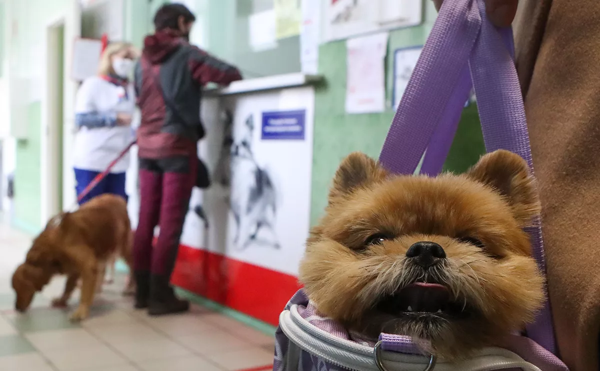 Сергей Карпухин / ТАСС