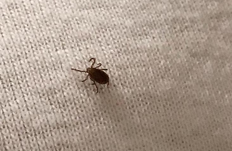 Правительство Приморского края