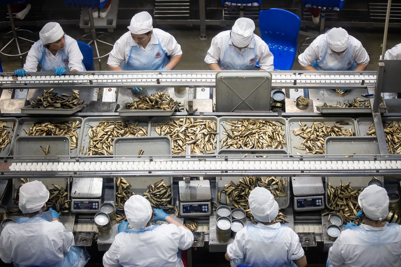 Александр Подгорчук