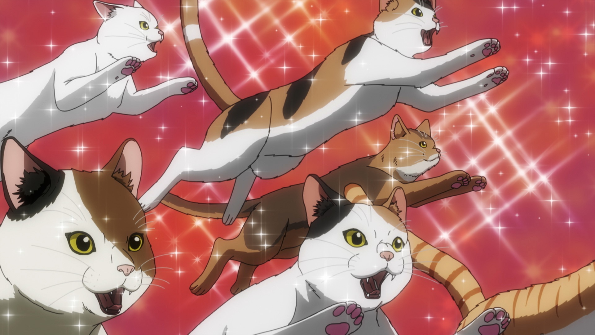Фото: Crunchyroll