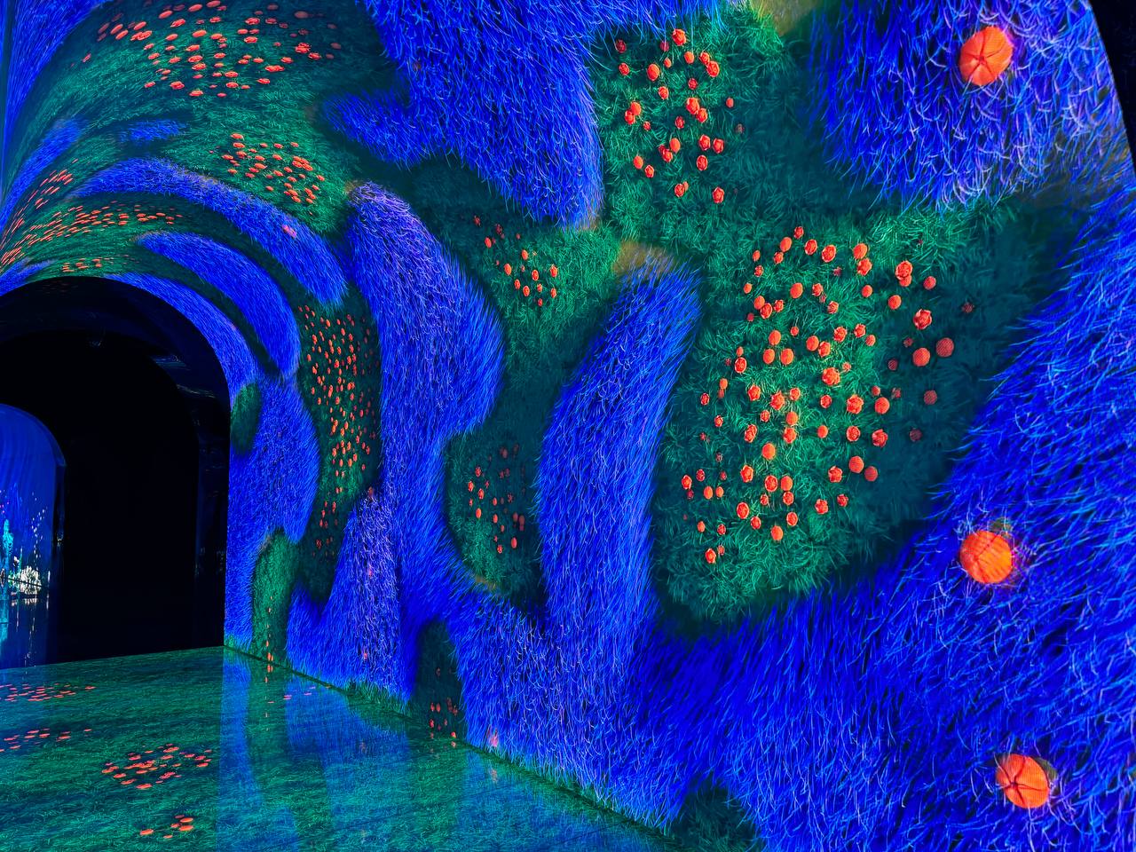 Интерактивная зона &laquo;Кроличья нора&raquo; внутри холма стала доступна для туристов в августе 2025 года. Локация представляет собой несколько связанных тоннелей, на стенах которых можно увидеть различные рисунки и геометрические фигуры.

Три тоннеля &mdash; с подводным миром, лугами и космосом &mdash; ведут к винтовой лестнице, вдоль которой в окнах в стенах можно увидеть анимации с кроликами. По ней можно подняться на вершину холма, откуда открывается панорамный вид на &laquo;Парк Облаков&raquo; и расположена зона отдыха с деревянными шезлонгами.