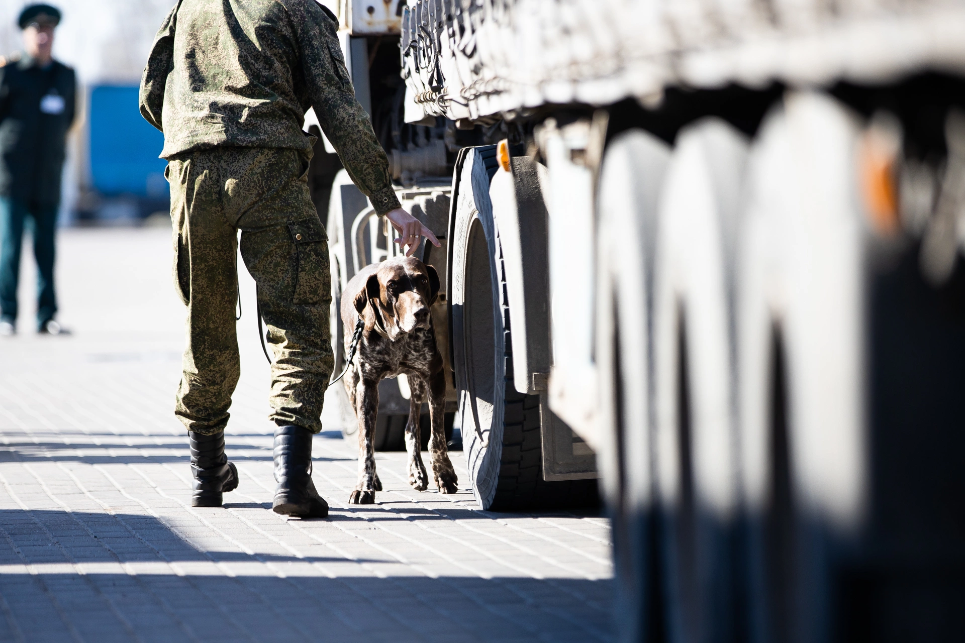 Александр Подгорчук