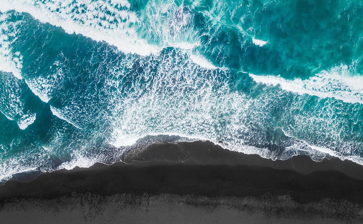 Фото:Ольга Гаврилова / Shutterstock