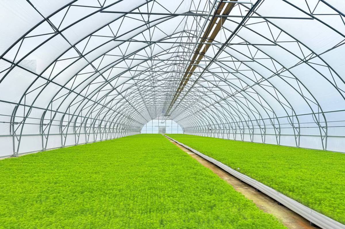 Фото: министерство лесного комплекса Вологодской области