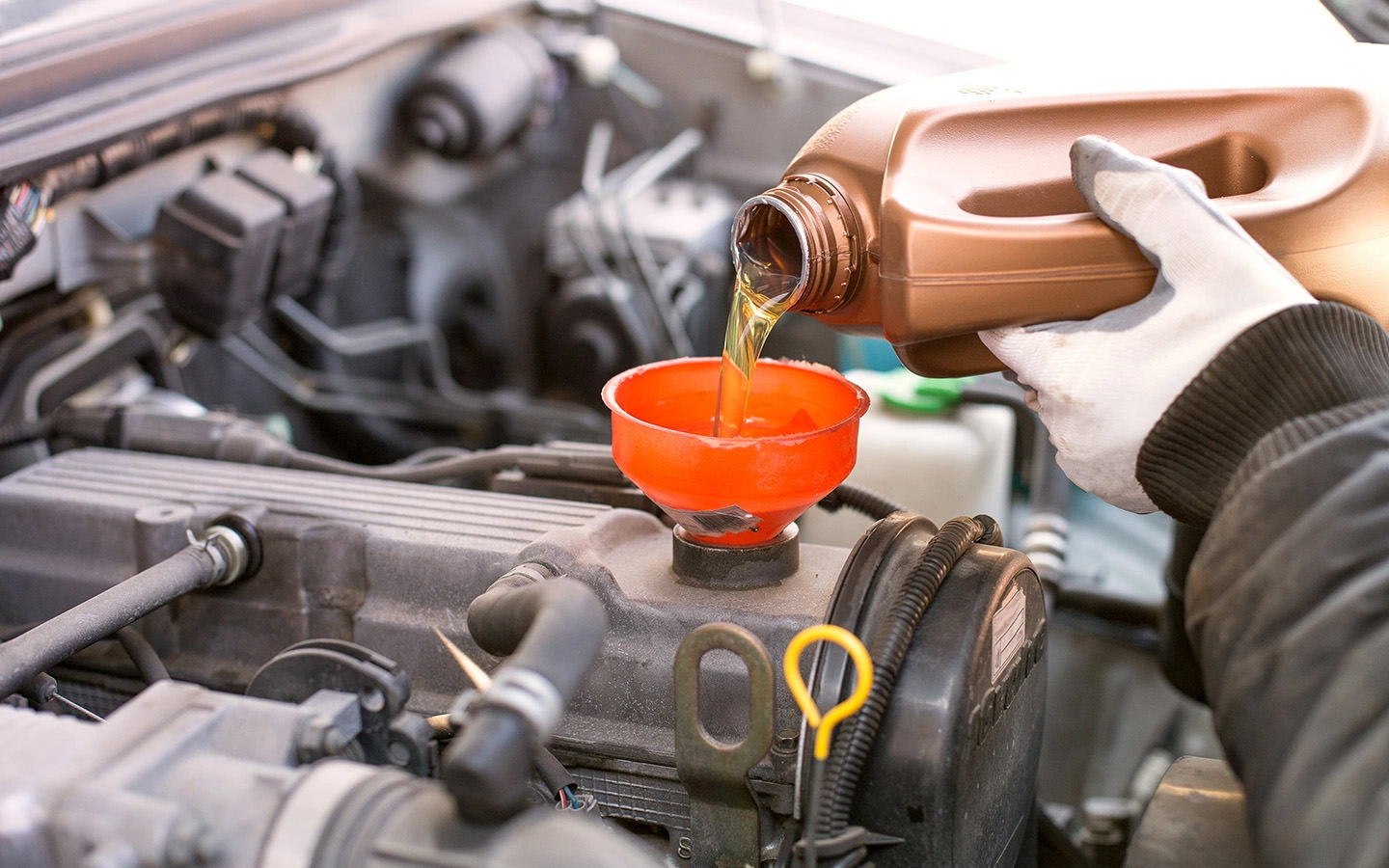 Фото: Hodoimg / Shutterstock / FOTODOM