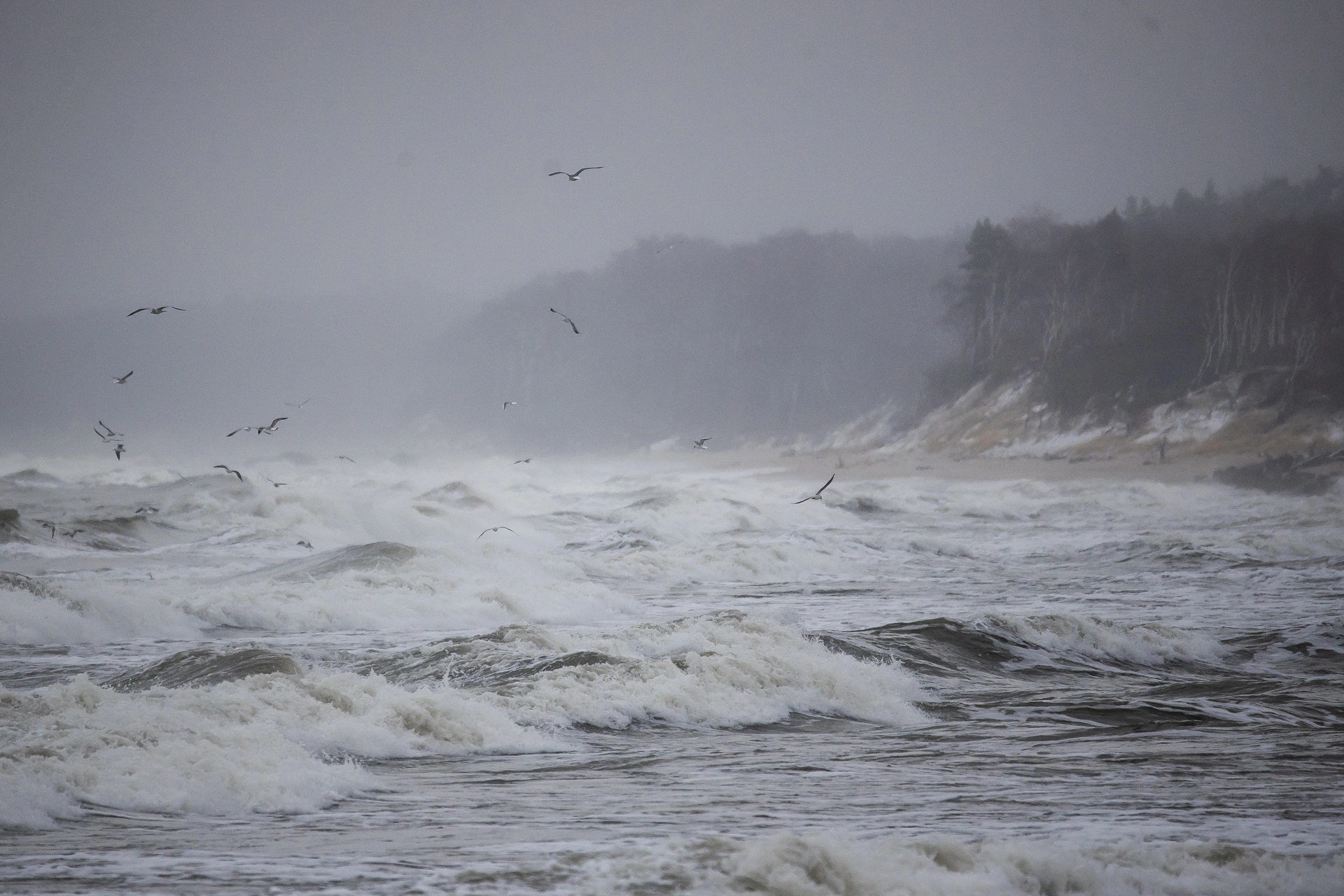 Александр Подгорчук