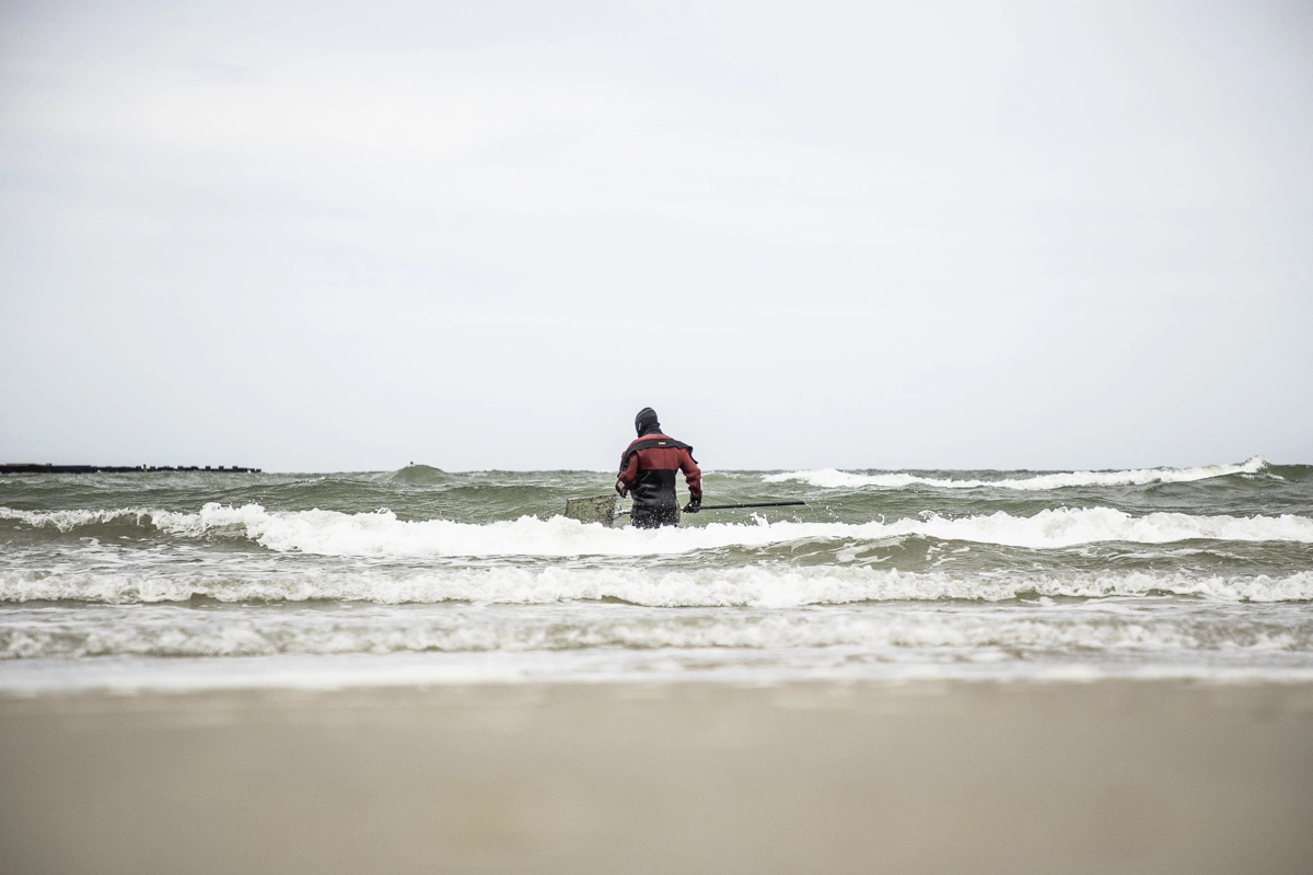 Александр Подгорчук