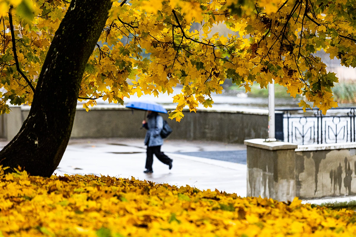 Александр Подгорчук