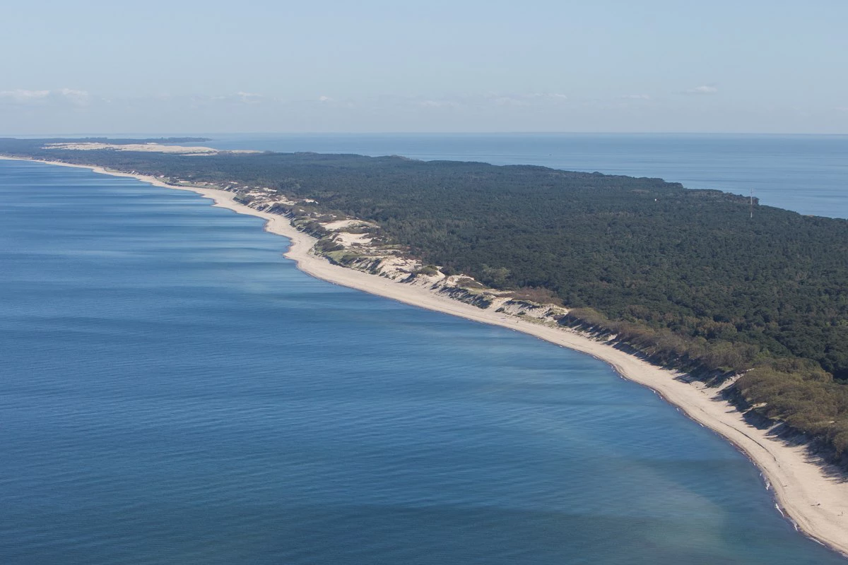 Александр Подгорчук