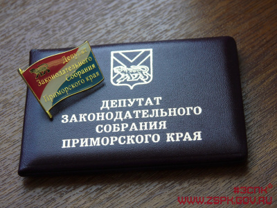 Фото: Пресс-служба Законодательного Собрания Приморского края
