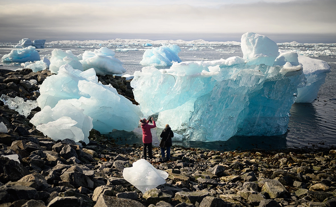 Leon Neal / Getty Images