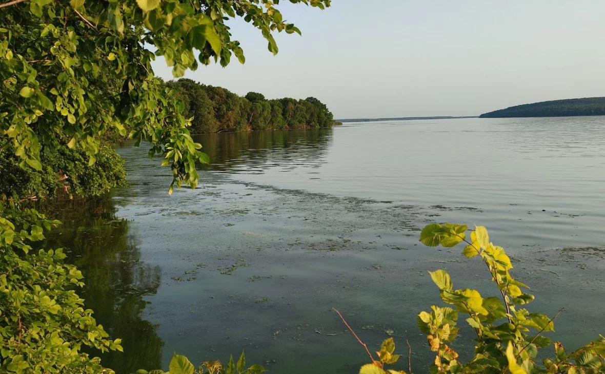 РБК Черноземье