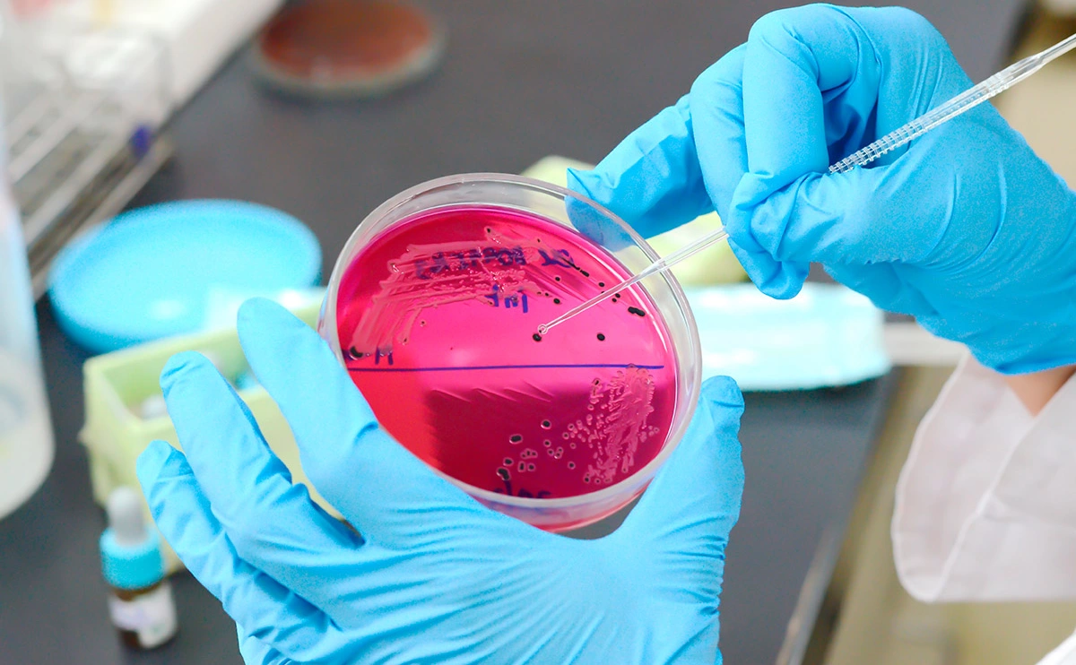 Yayah_Ai / Shutterstock