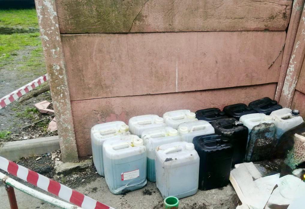 Фото: пресс-служба СПб ГБУ «Экострой»