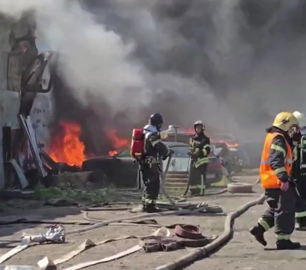 Фото: администрация Красногвардейского района Санкт-Петербурга